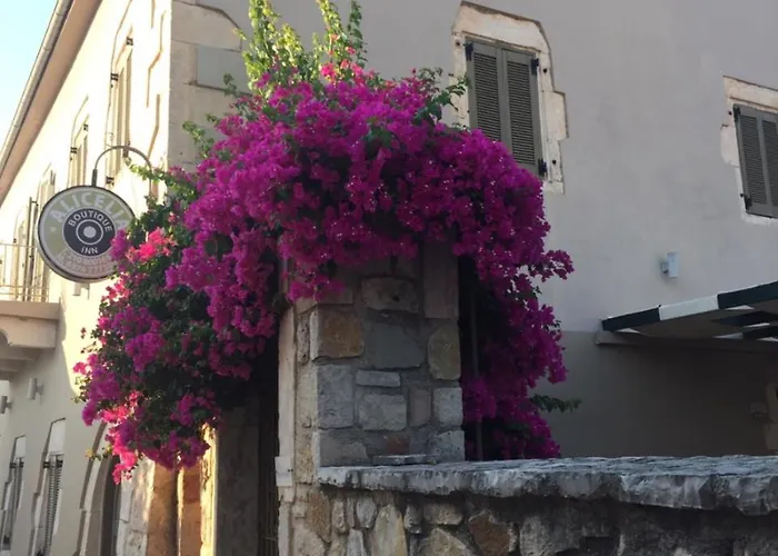 Alicelia Boutique Casa de hóspedes